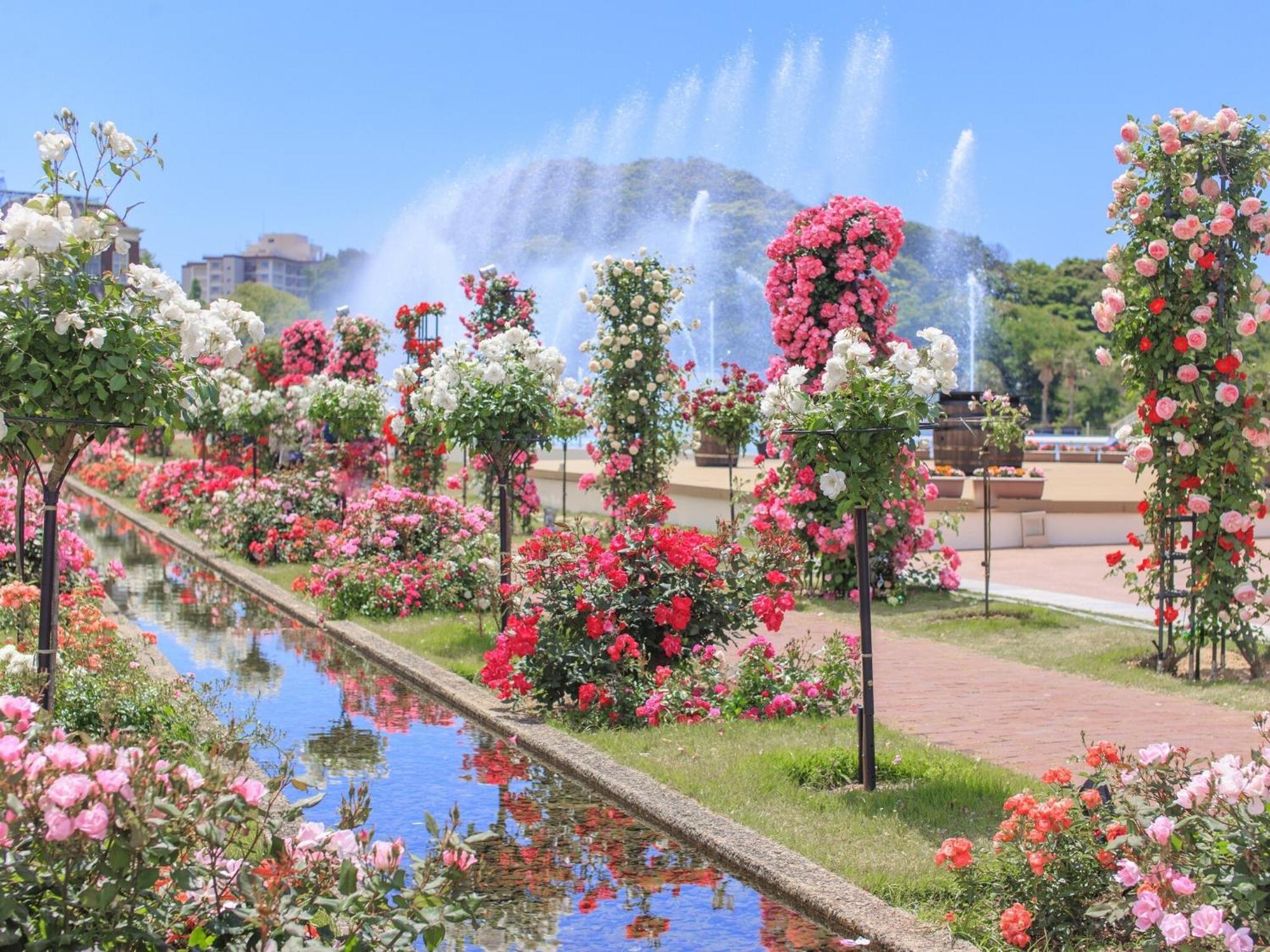 Hotel Den Haag Huis Ten Bosch Σασέμπο Εξωτερικό φωτογραφία The International Rose Test Garden